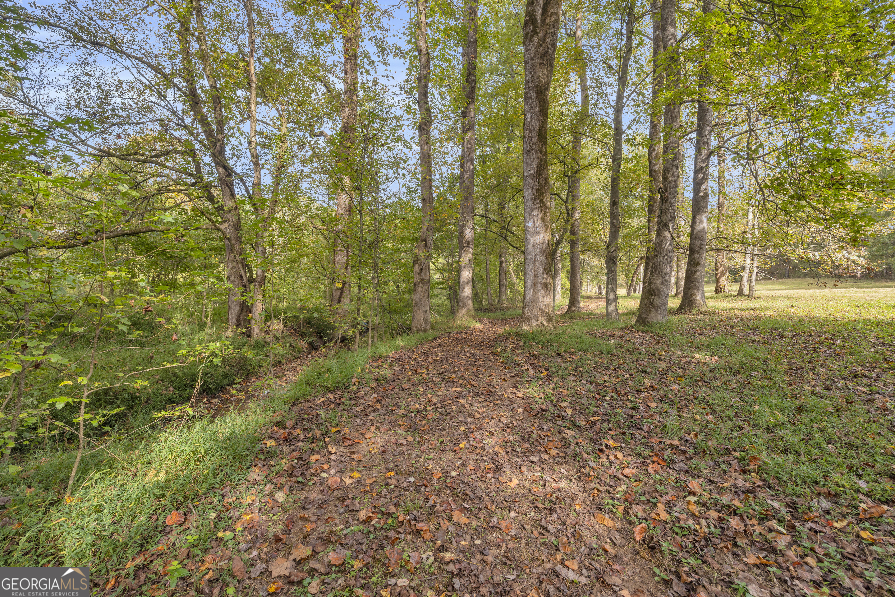 0 Turner Road Cleveland GA 30528