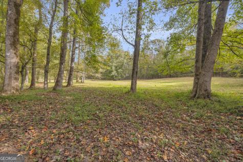 0 Turner Road Cleveland GA 30528