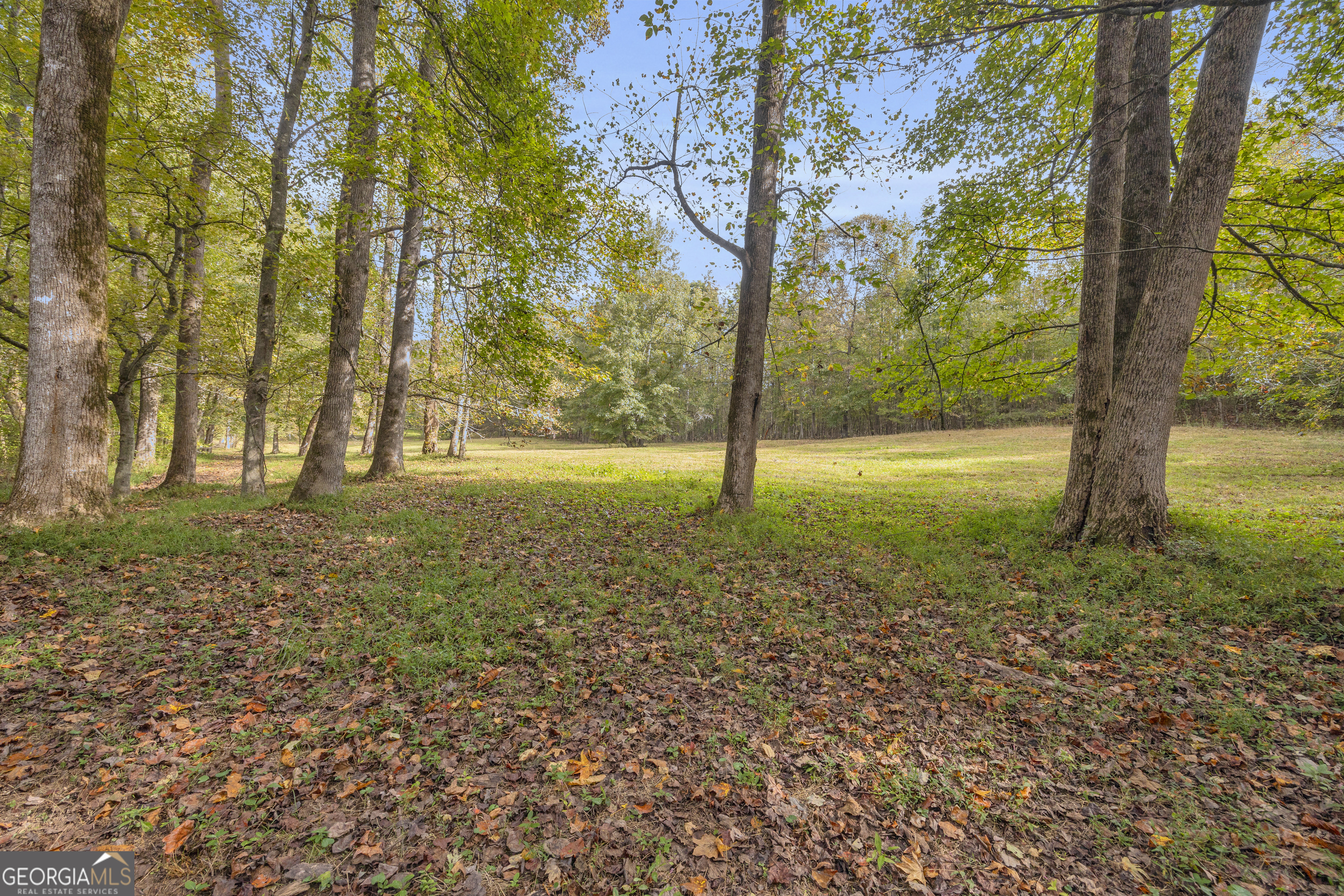 0 Turner Road Cleveland GA 30528