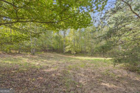 0 Turner Road Cleveland GA 30528