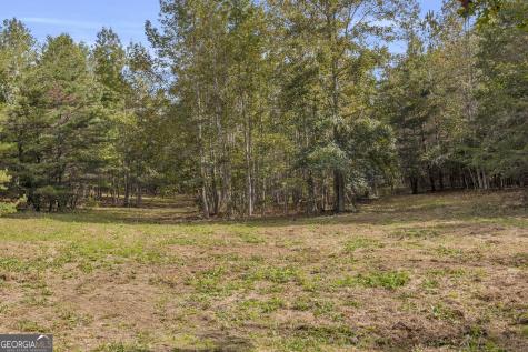 0 Turner Road Cleveland GA 30528