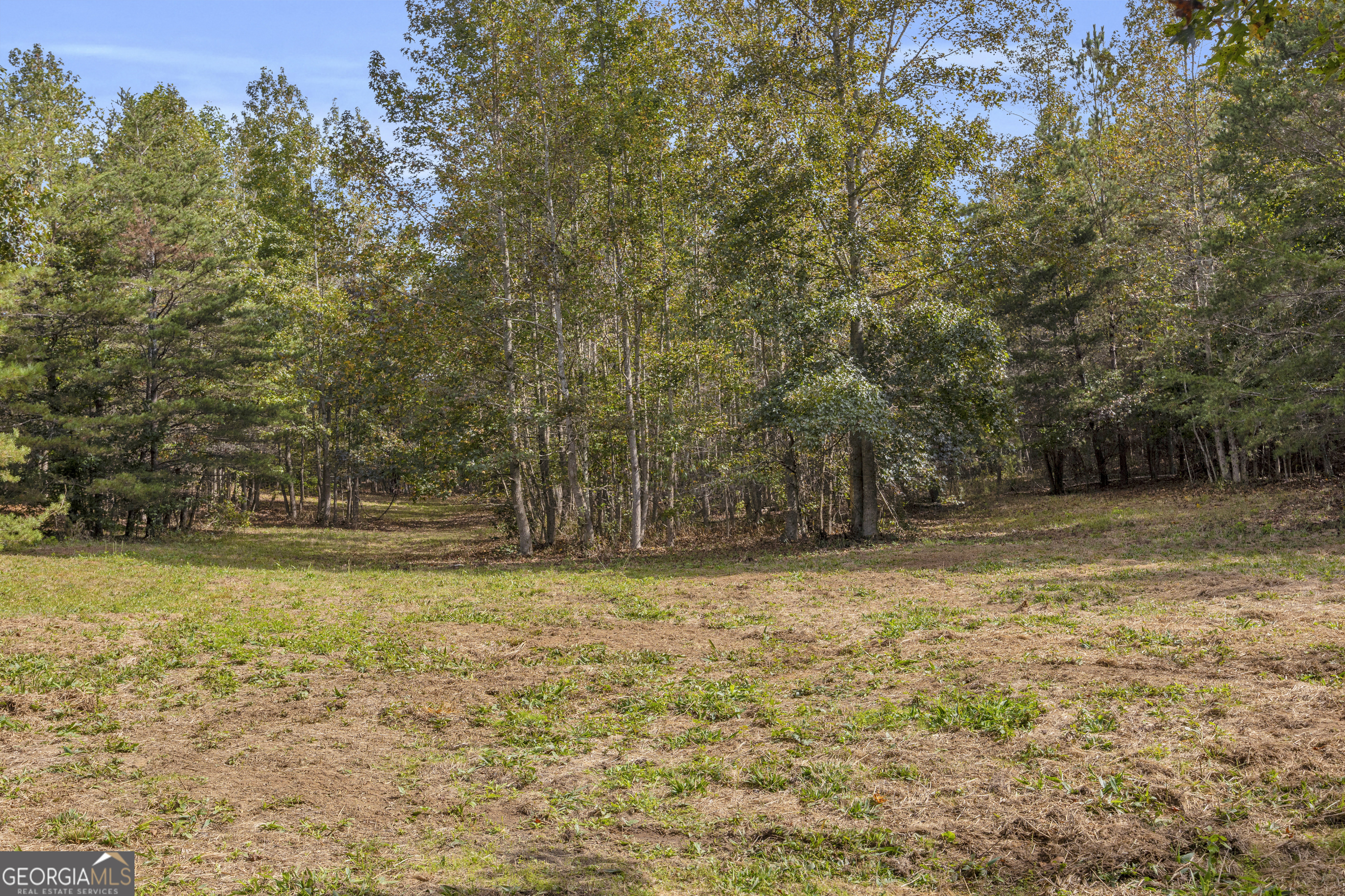 0 Turner Road Cleveland GA 30528
