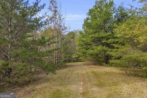 0 Turner Road Cleveland GA 30528
