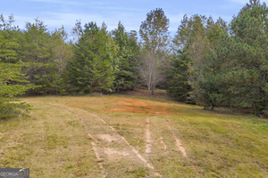 0 Turner Road Cleveland GA 30528