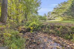 0 Turner Road Cleveland GA 30528