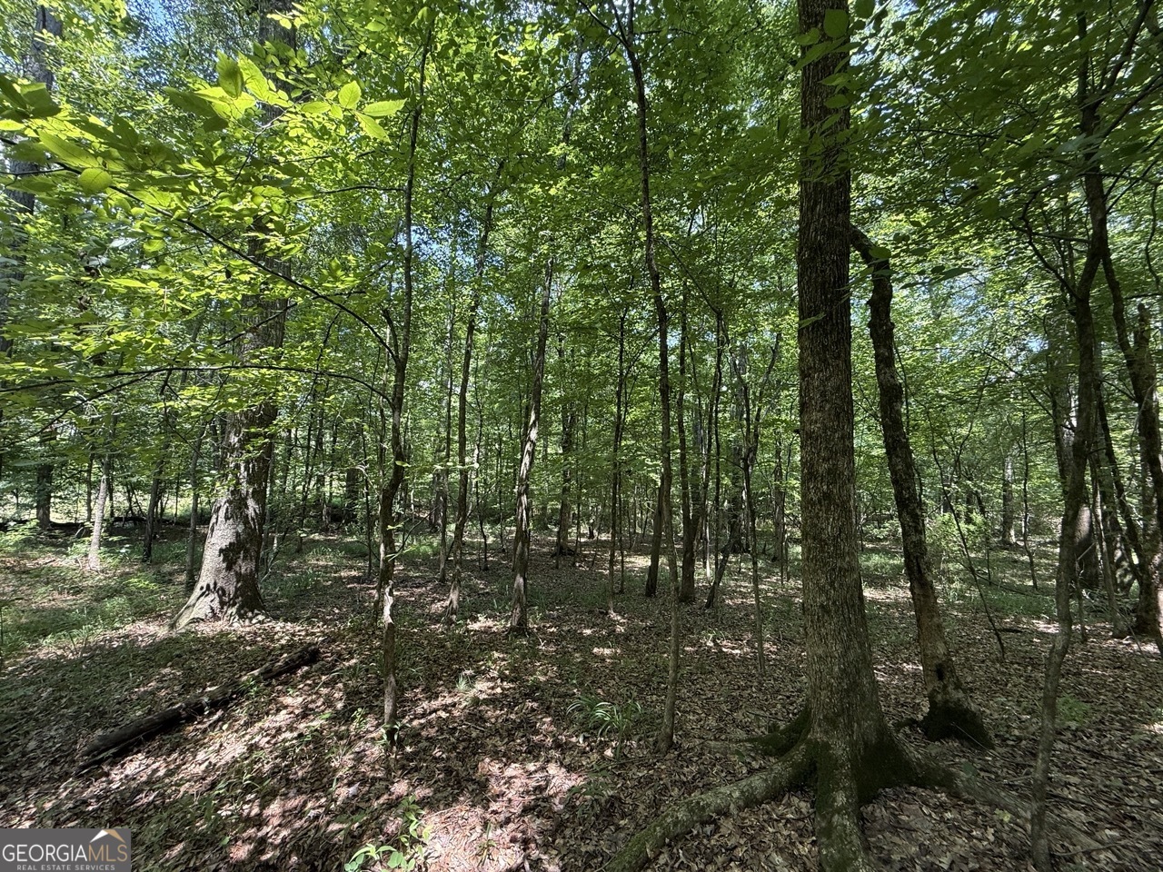 0 Rum Creek Road Juliette GA 31046