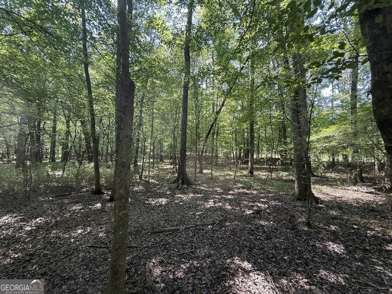 0 Rum Creek Road Juliette GA 31046