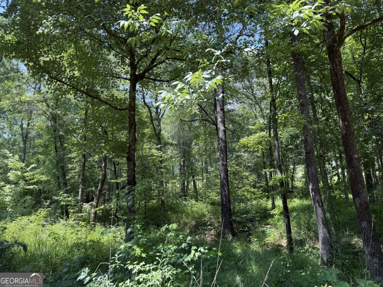 0 Rum Creek Road Juliette GA 31046