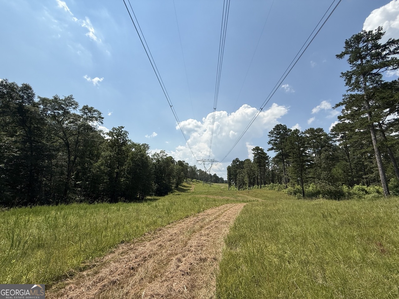 0 Rum Creek Road Juliette GA 31046