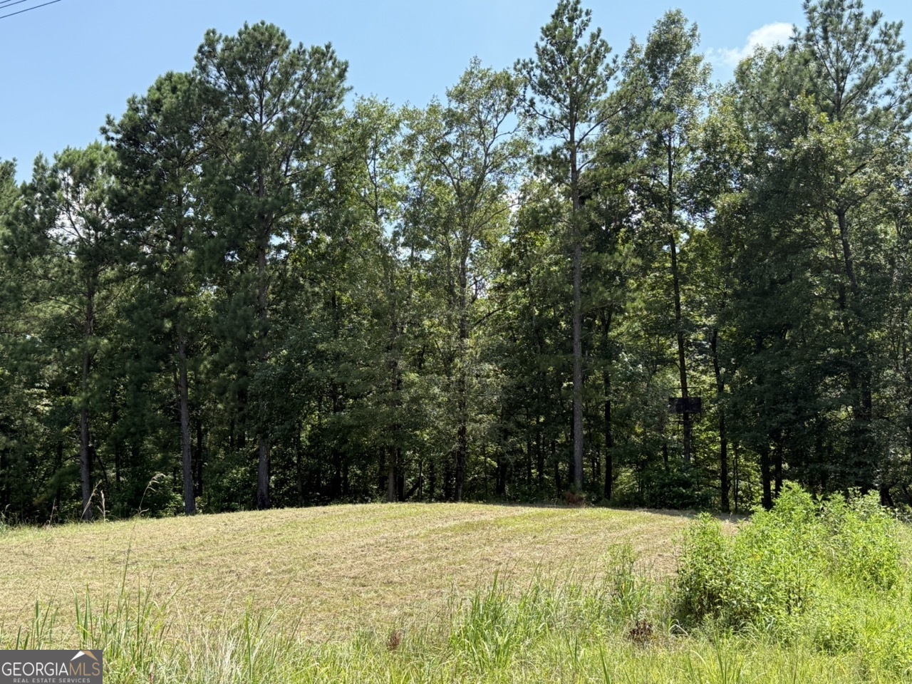 0 Rum Creek Road Juliette GA 31046