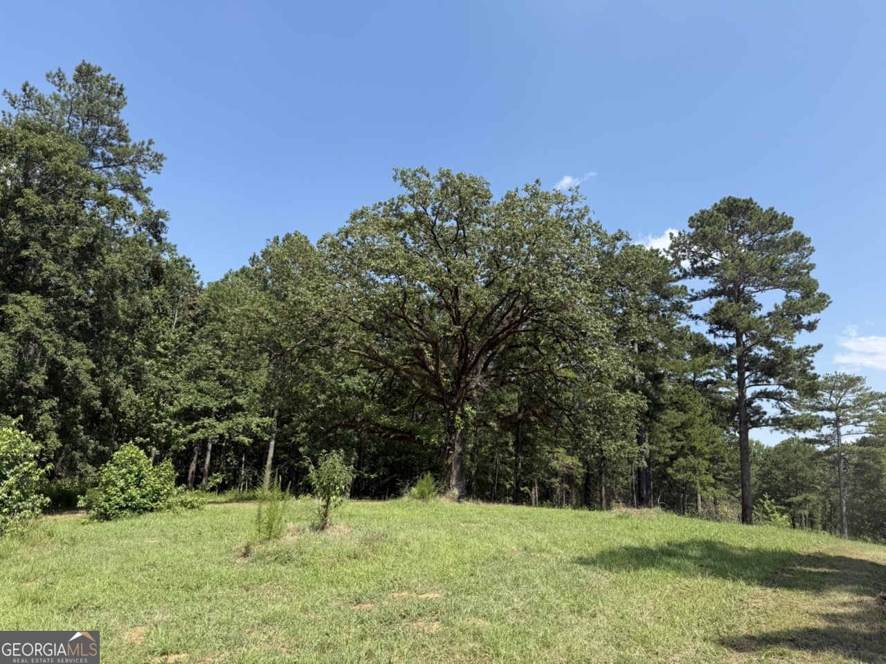 0 Rum Creek Road Juliette GA 31046