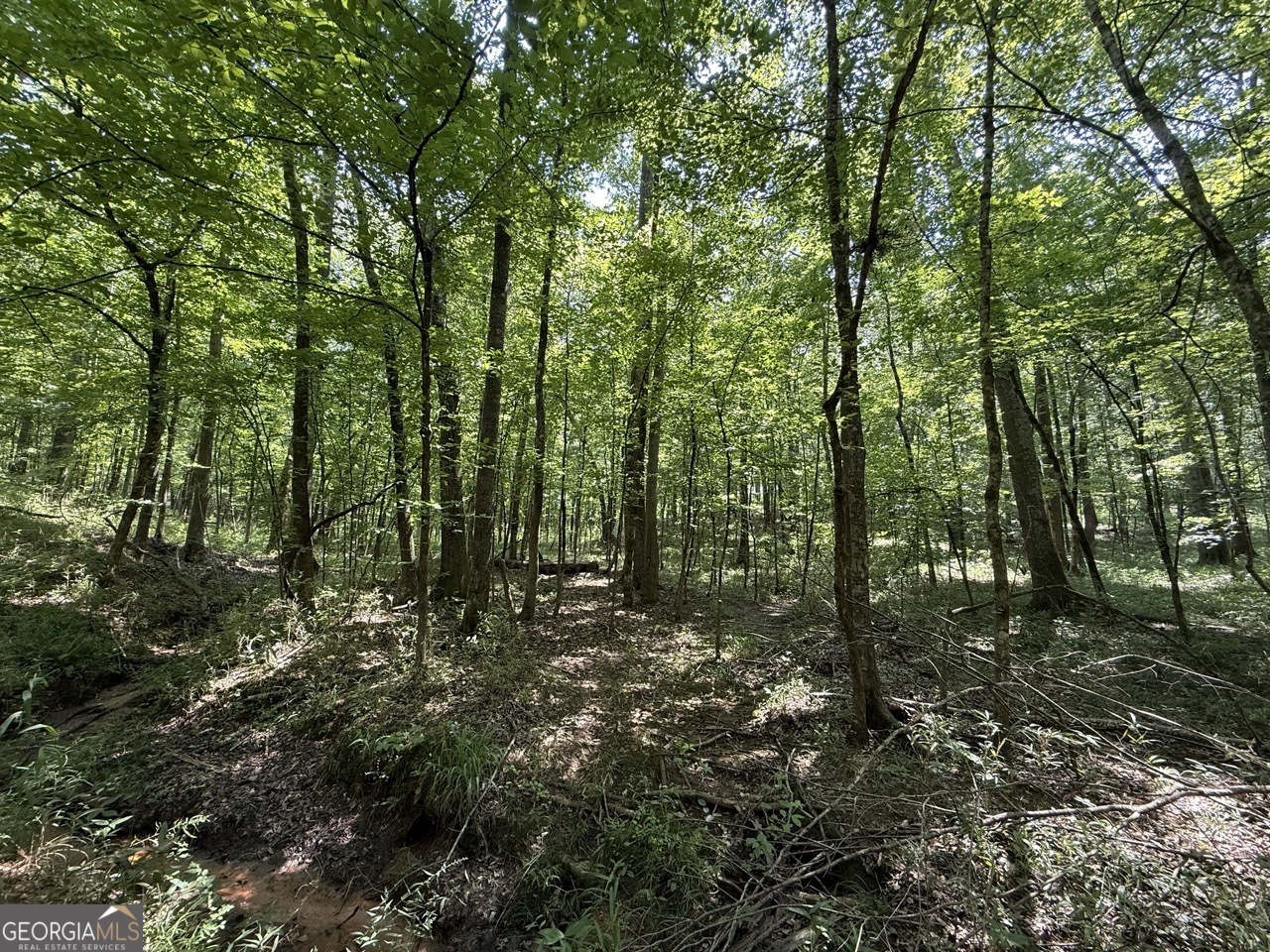 0 Rum Creek Road Juliette GA 31046