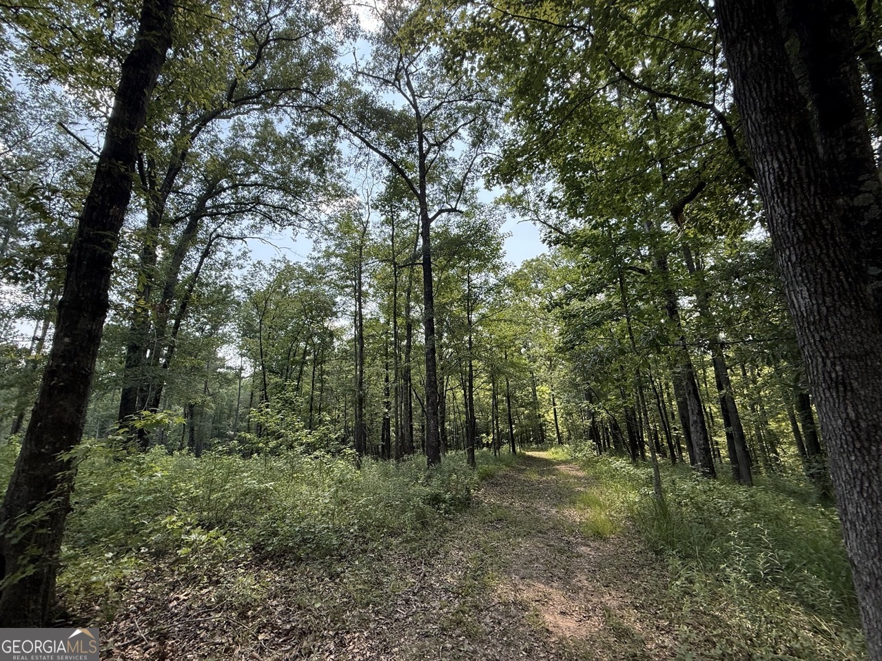 0 Rum Creek Road Juliette GA 31046