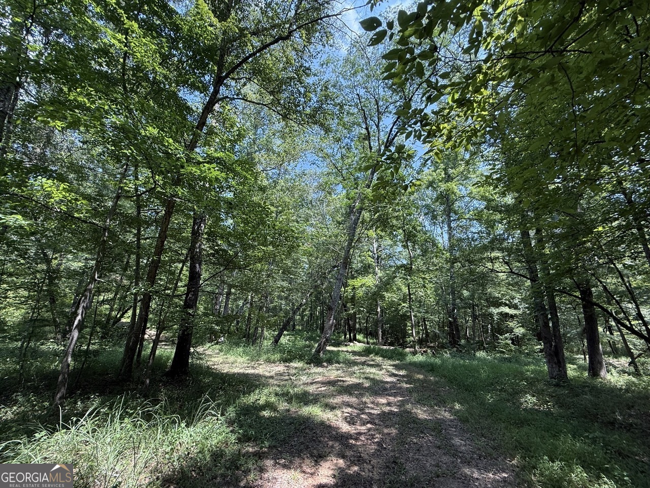 0 Rum Creek Road Juliette GA 31046