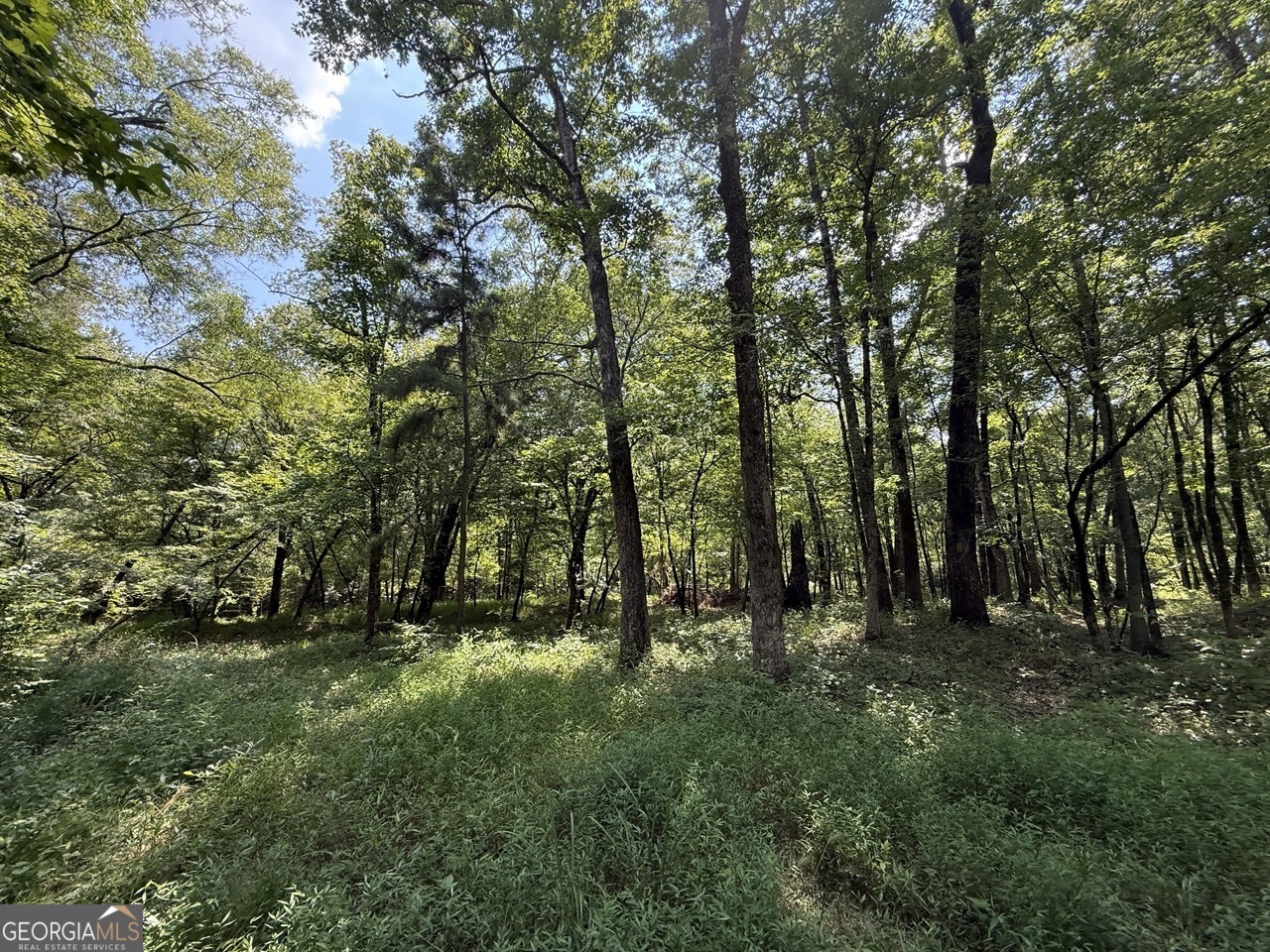 0 Rum Creek Road Juliette GA 31046