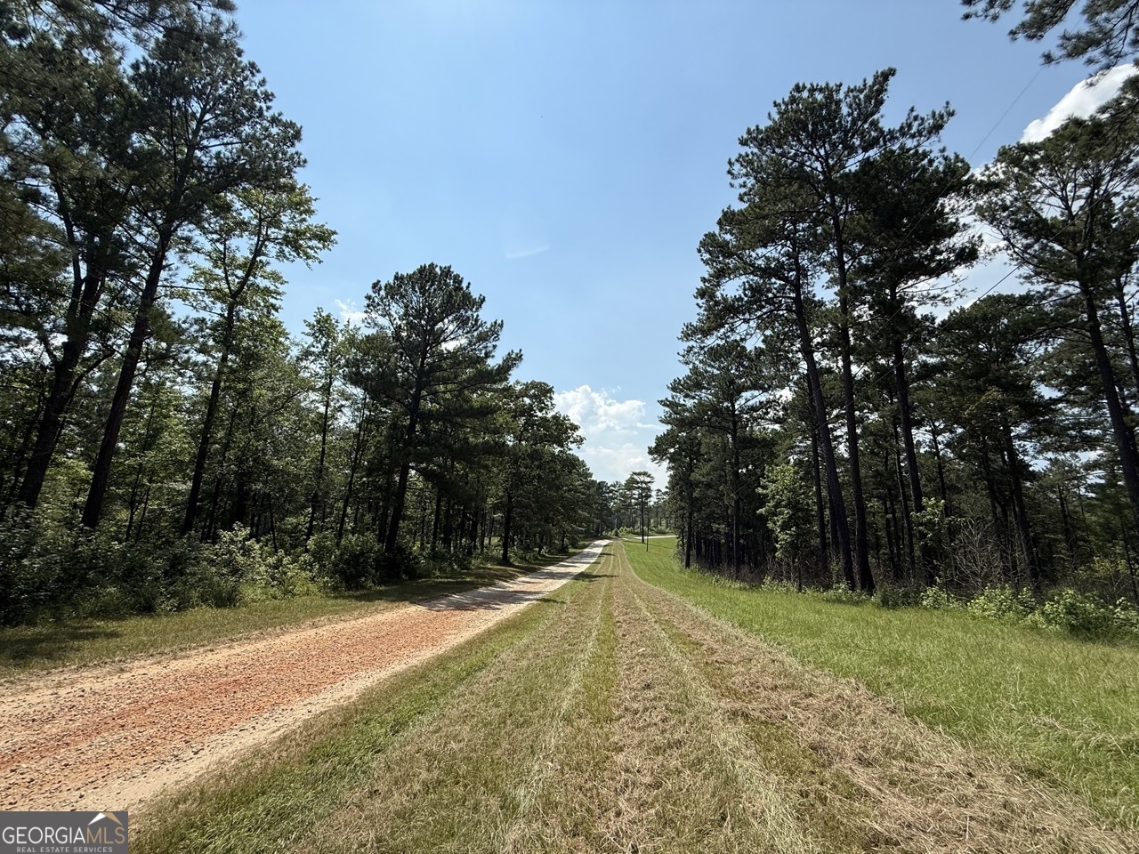 0 Rum Creek Road Juliette GA 31046