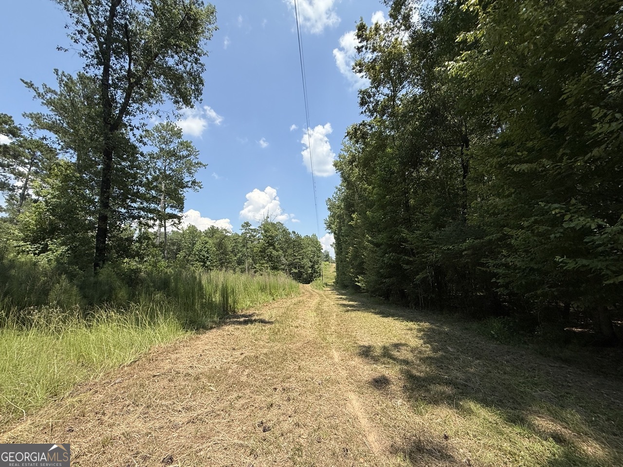 0 Rum Creek Road Juliette GA 31046