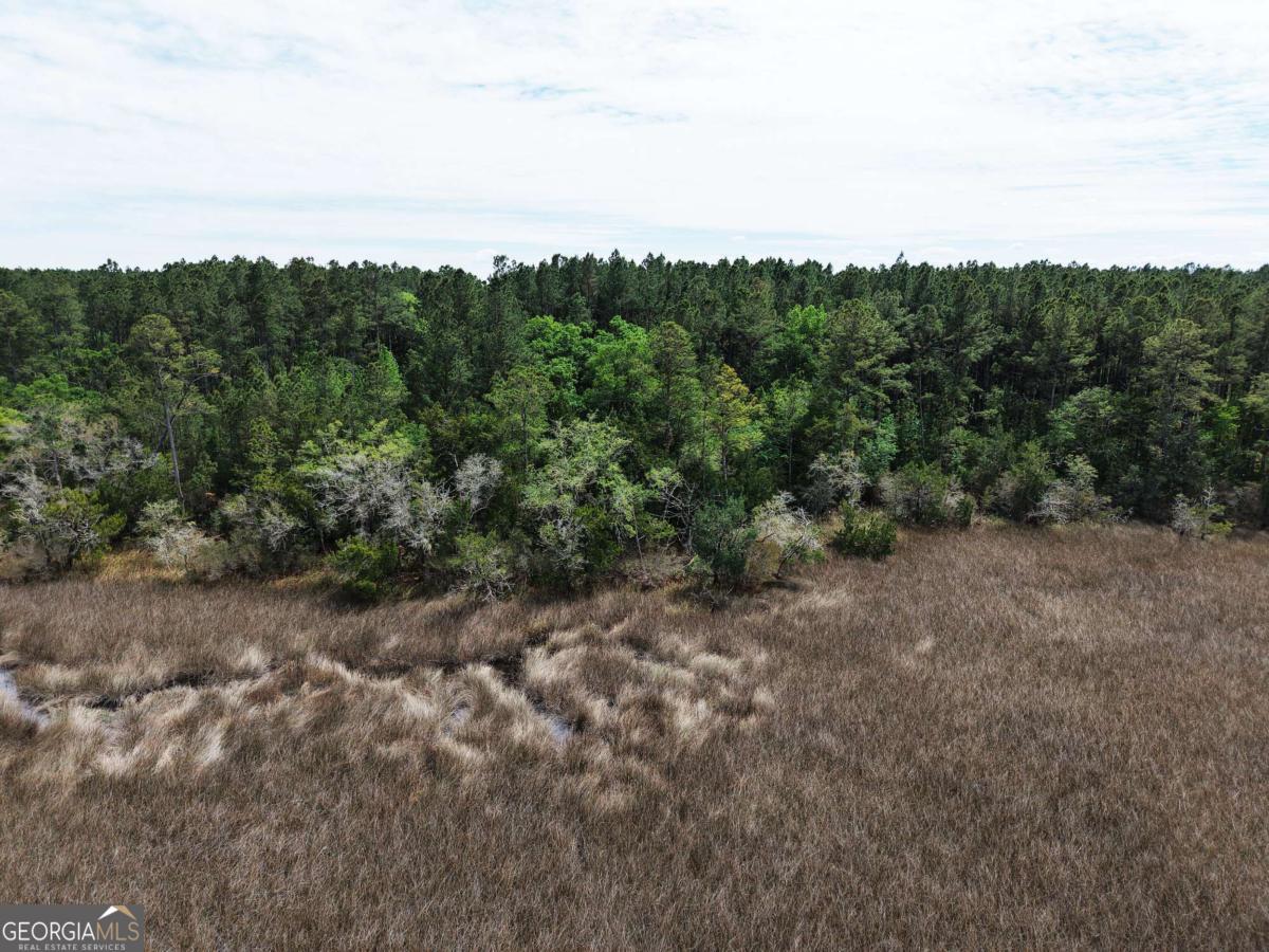 Lot 43 La Sole Lane Waverly GA 31565