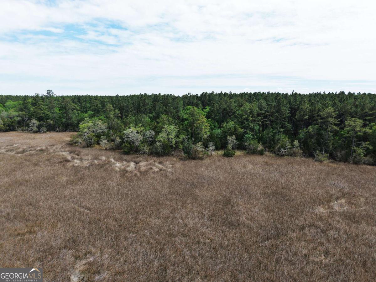 Lot 43 La Sole Lane Waverly GA 31565