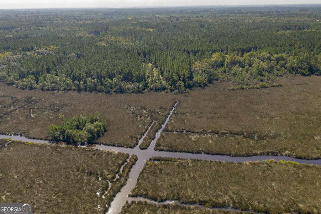 Lot 43 La Sole Lane Waverly GA 31565
