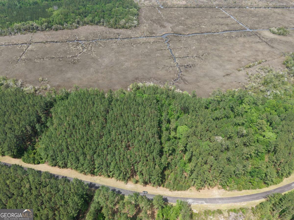 Lot 43 La Sole Lane Waverly GA 31565