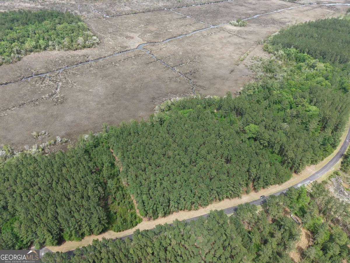 Lot 43 La Sole Lane Waverly GA 31565