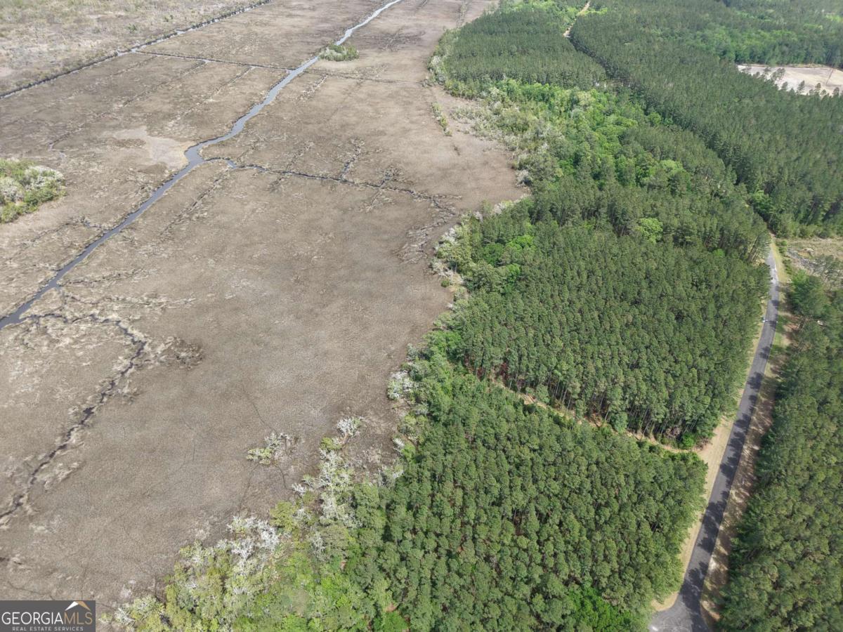Lot 43 La Sole Lane Waverly GA 31565