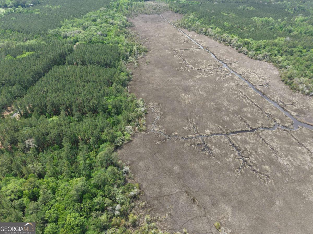 Lot 43 La Sole Lane Waverly GA 31565