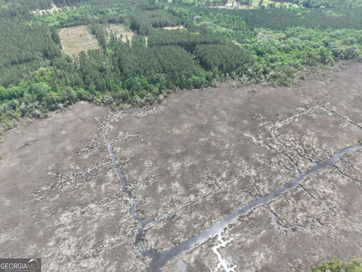 Lot 43 La Sole Lane Waverly GA 31565