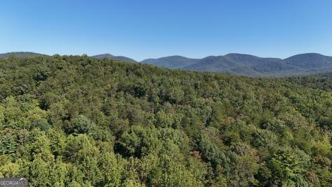 Tract 3 Johns Drive Cleveland GA 30528