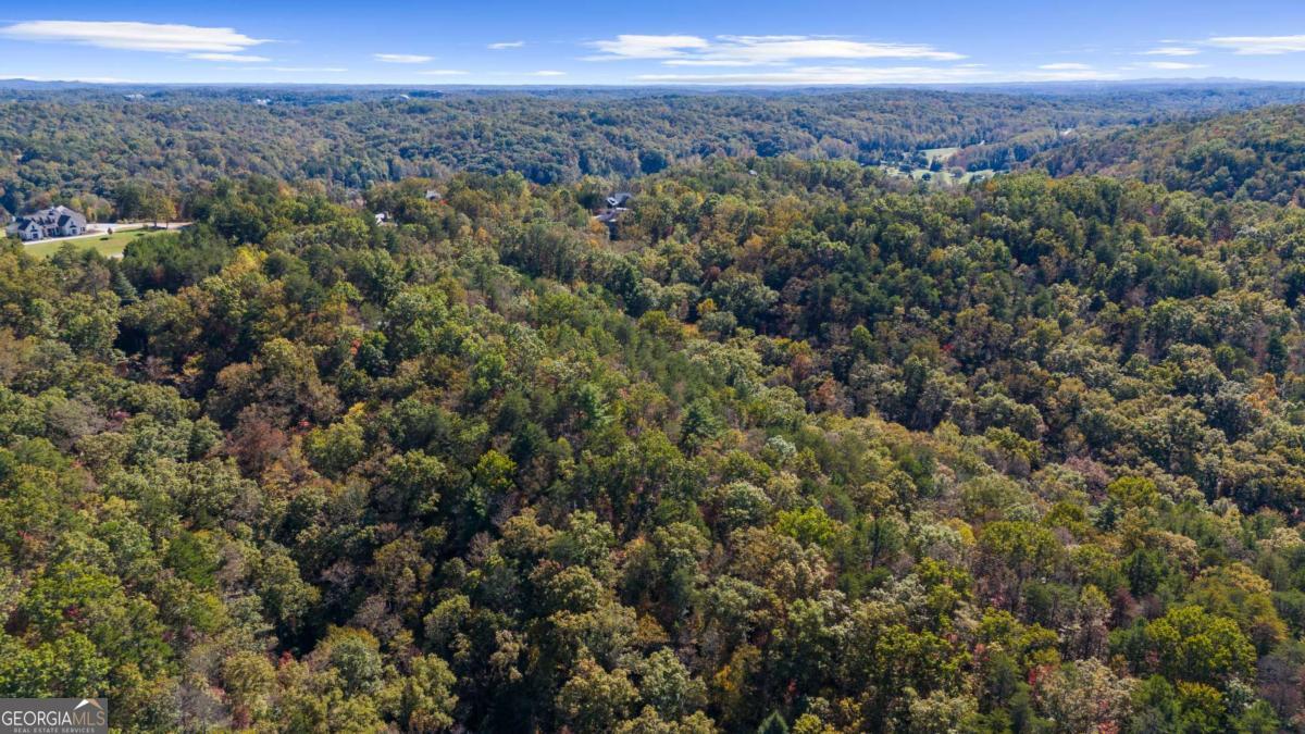 1047 Nugget Court Dahlonega GA 30533