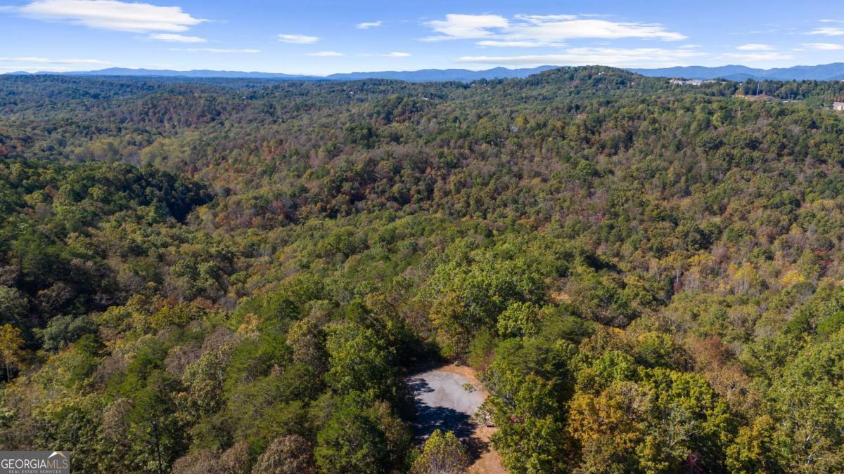 1047 Nugget Court Dahlonega GA 30533