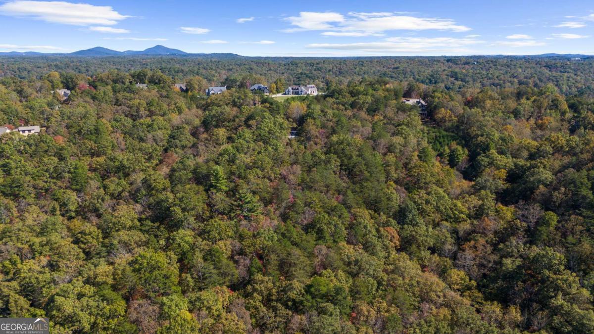 1047 Nugget Court Dahlonega GA 30533