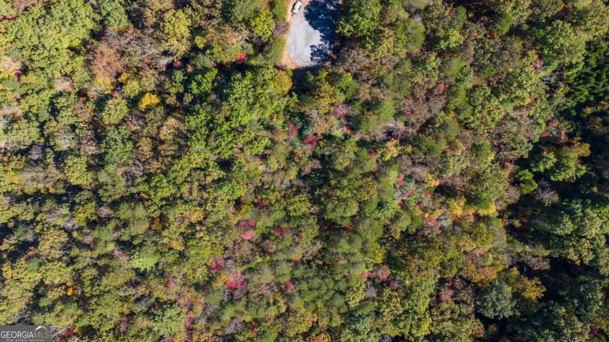 1047 Nugget Court Dahlonega GA 30533