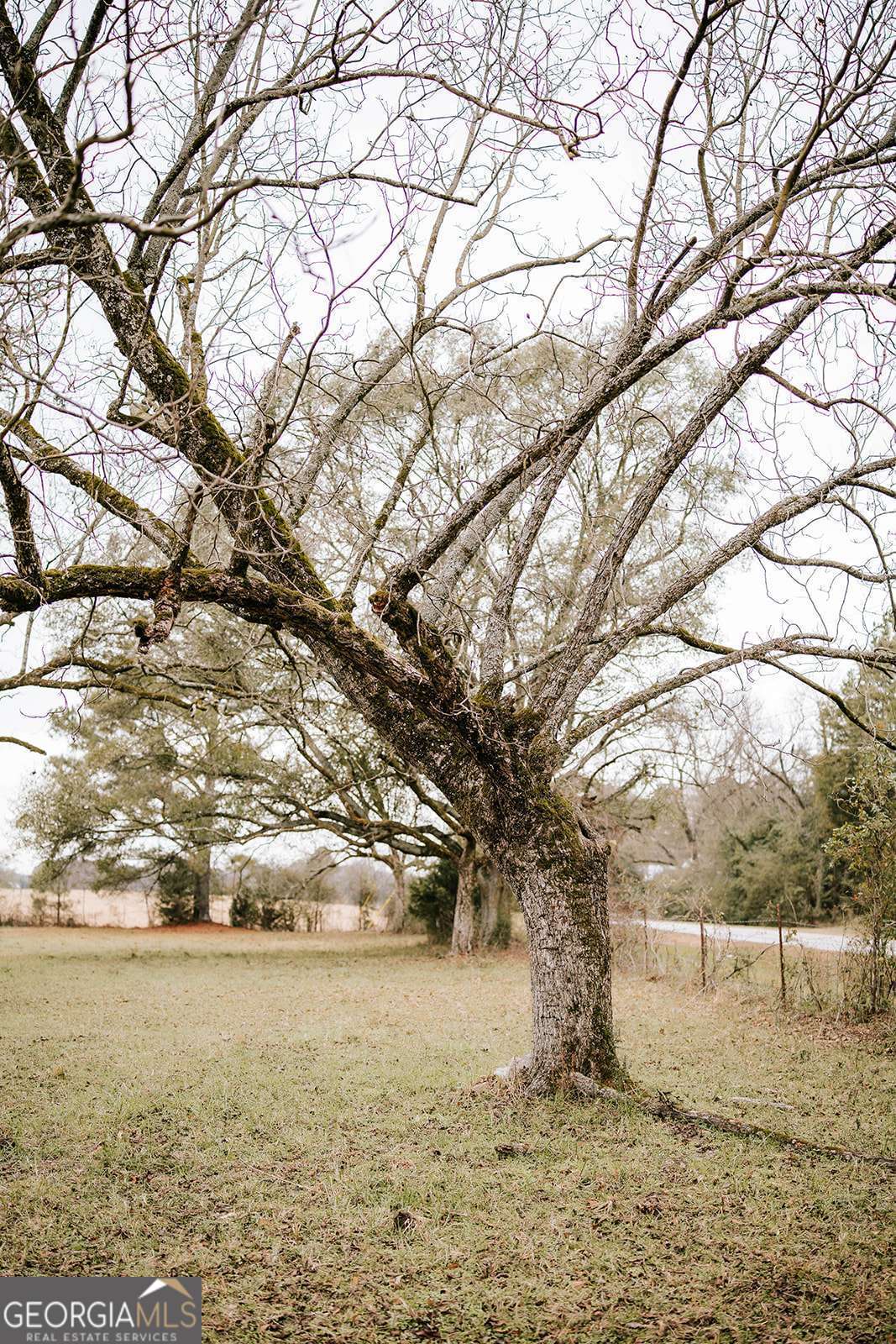 0 Sandy Cross Road Lexington GA 30648