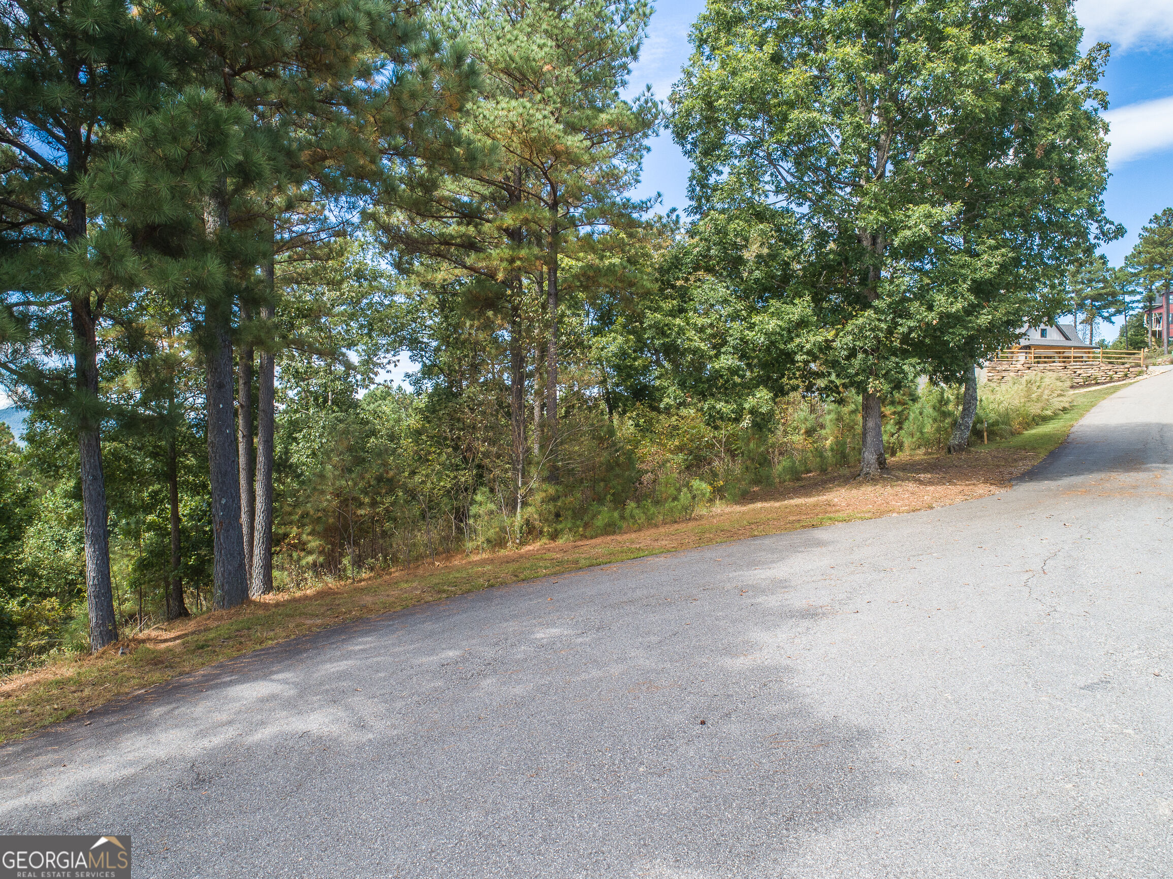 Lot 14 Mile High Lane Blairsville GA 30512