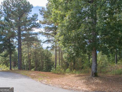 Lot 14 Mile High Lane Blairsville GA 30512