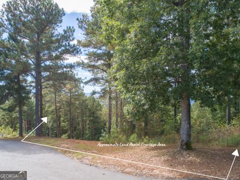 Lot 14 Mile High Lane Blairsville GA 30512