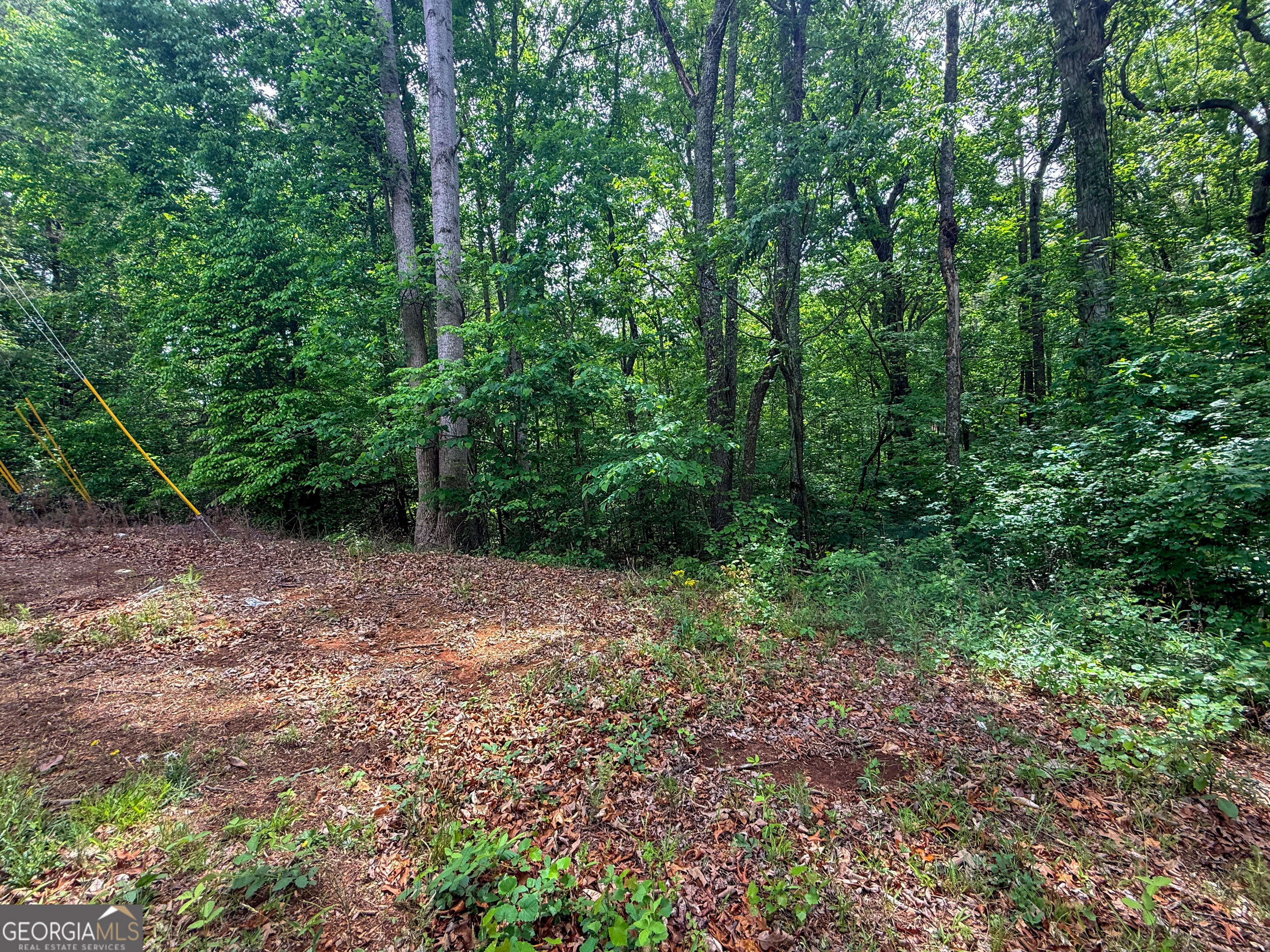 99 Lake Harbor Trail Martin GA 30557