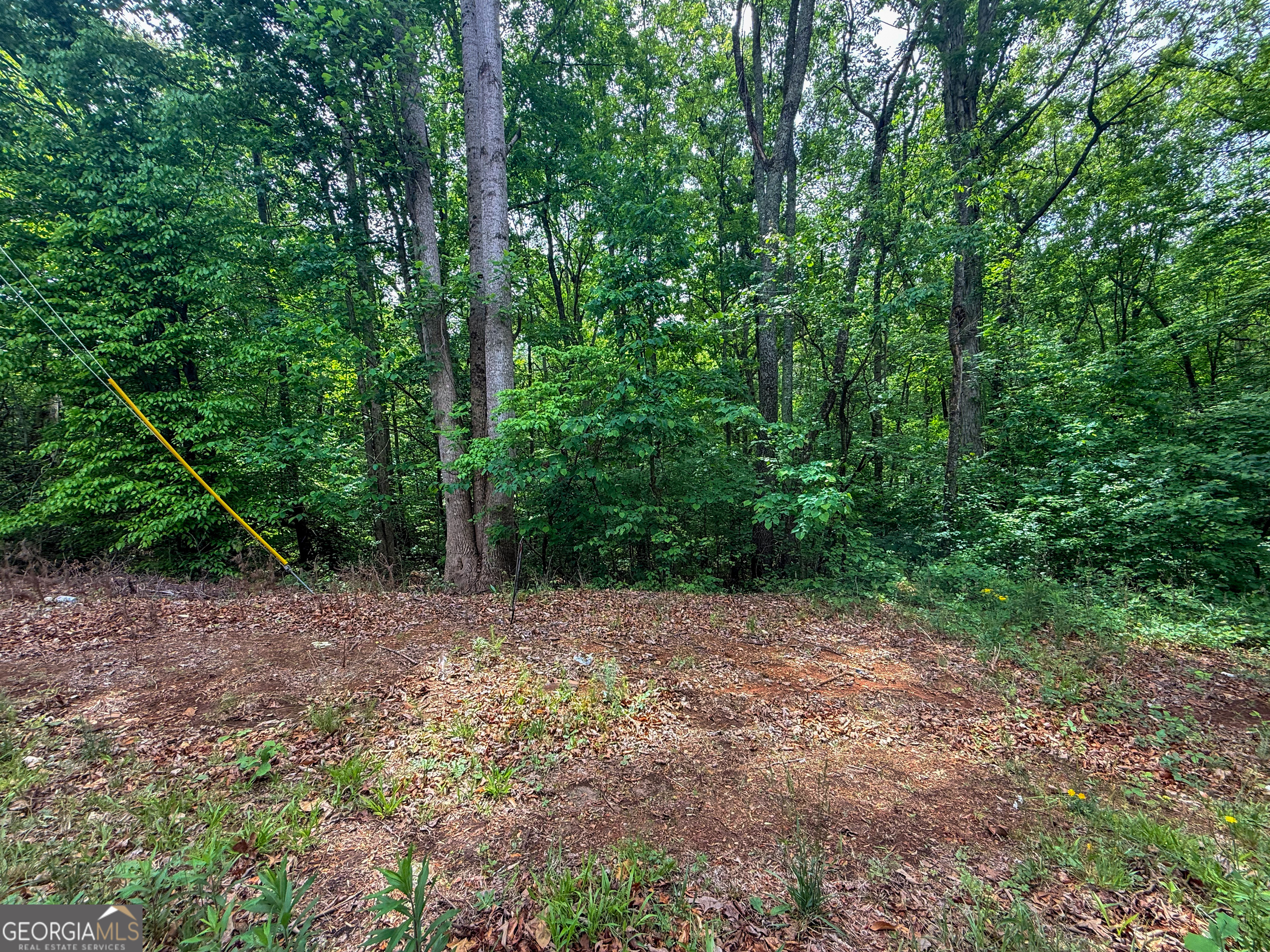 99 Lake Harbor Trail Martin GA 30557