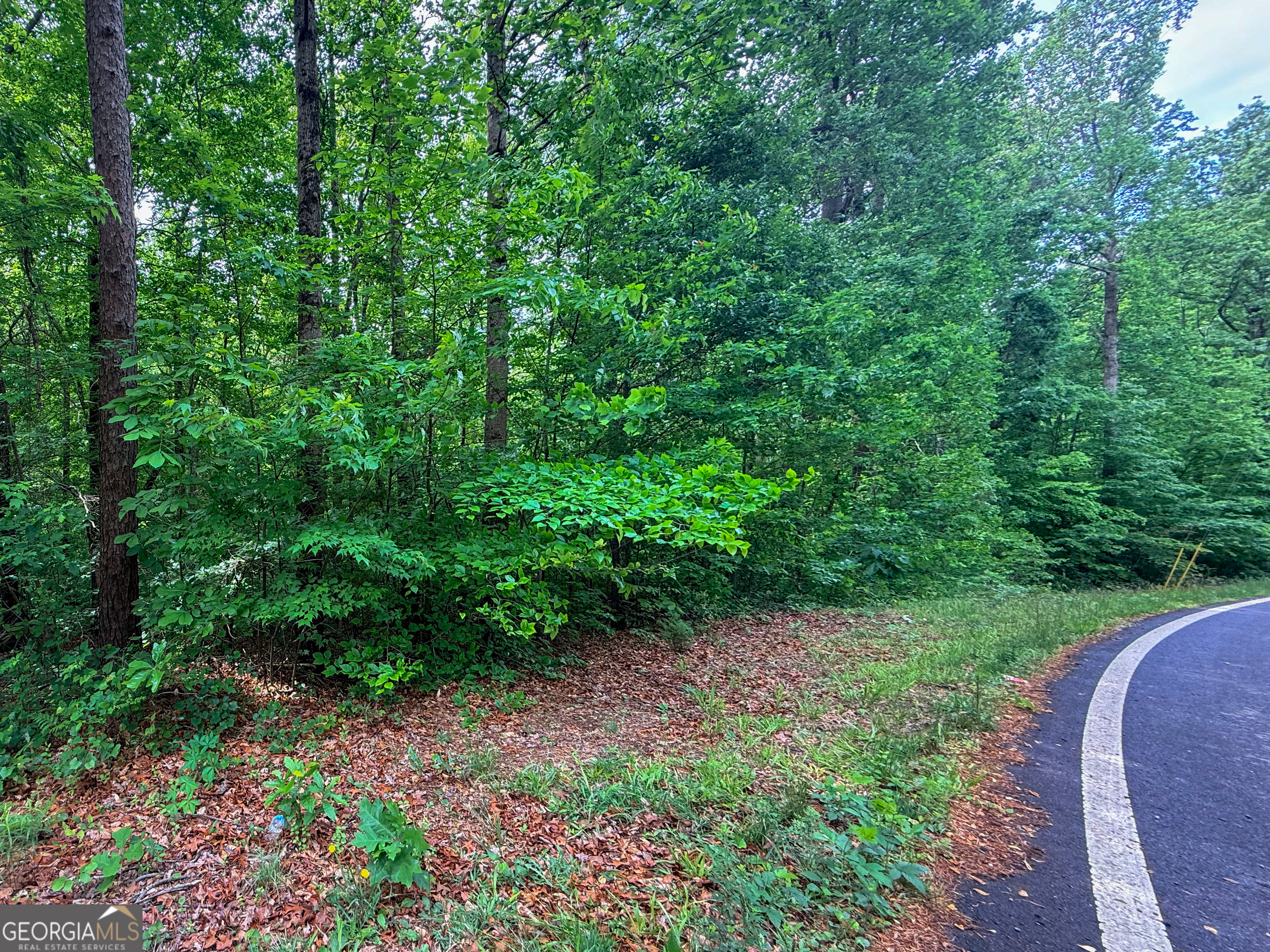 99 Lake Harbor Trail Martin GA 30557