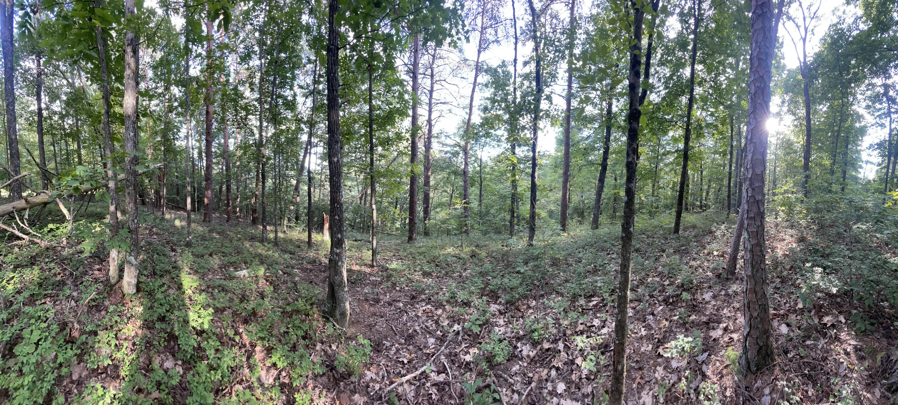 1063 Mayfield Lane NE Ranger GA 30734