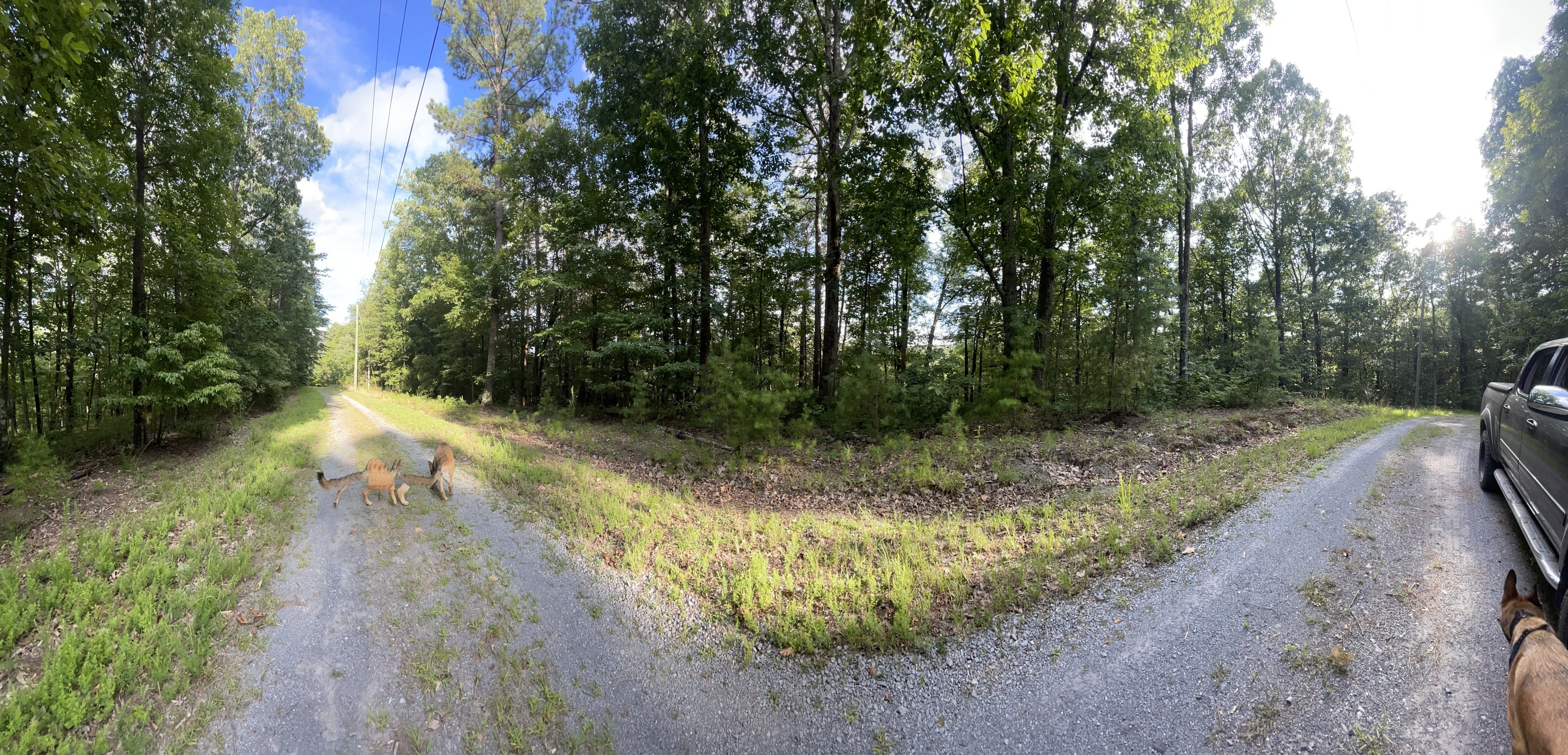 1063 Mayfield Lane NE Ranger GA 30734