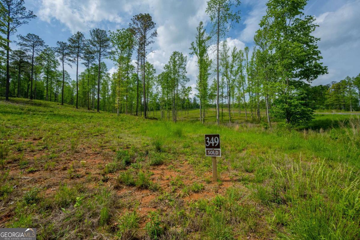 L349 The Vineyard At Yukon Ellijay GA 30540