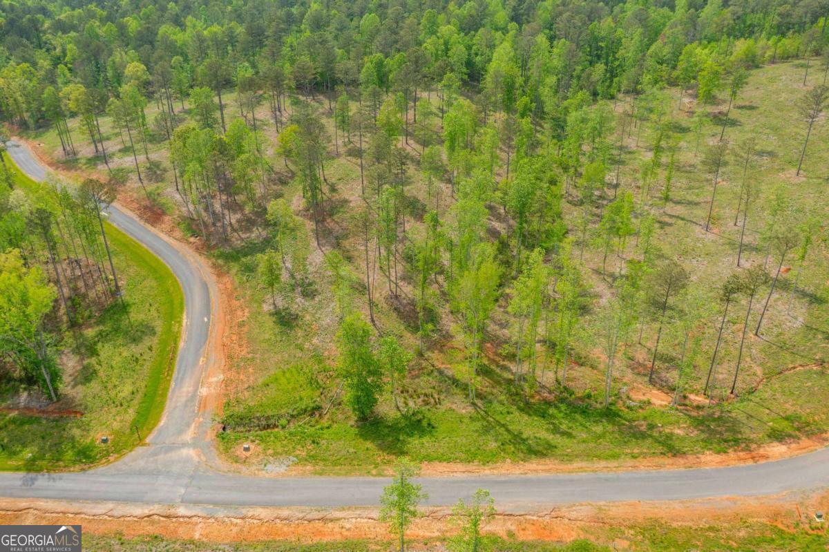 L349 The Vineyard At Yukon Ellijay GA 30540