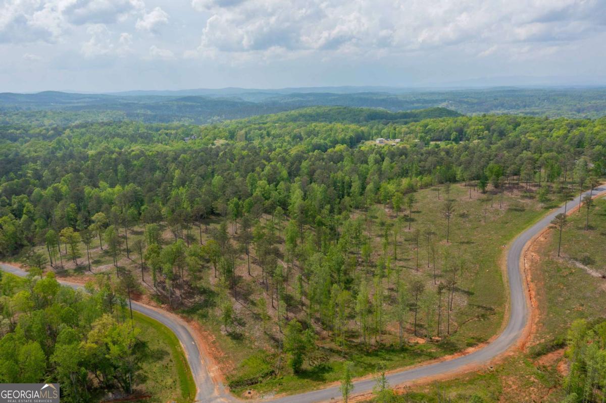 L349 The Vineyard At Yukon Ellijay GA 30540