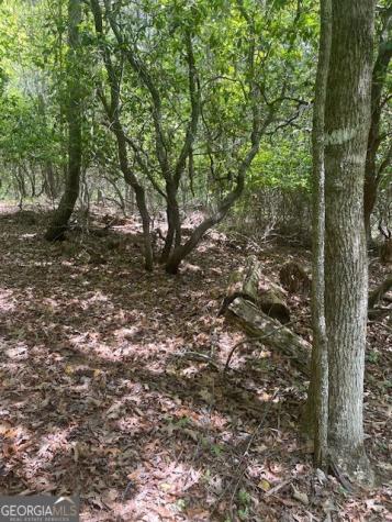 Lot 13 Woodbrier Sautee Nacoochee GA 30571