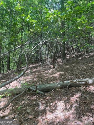 Lot 13 Woodbrier Sautee Nacoochee GA 30571