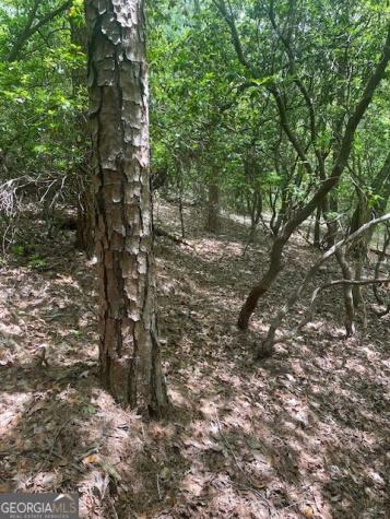 Lot 13 Woodbrier Sautee Nacoochee GA 30571