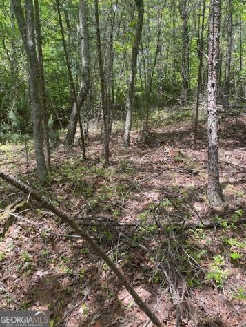Lot 13 Woodbrier Sautee Nacoochee GA 30571
